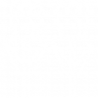 tulipes