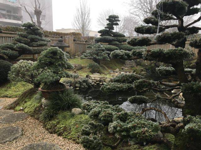 jardin-japonais-creation-640w