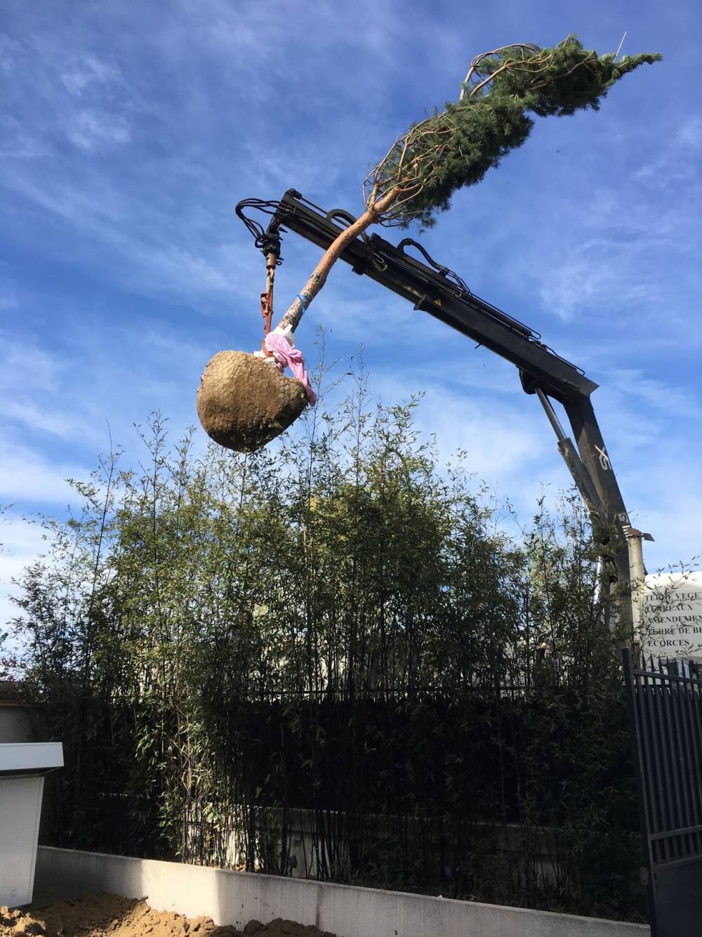 plantation-arbre-1280w