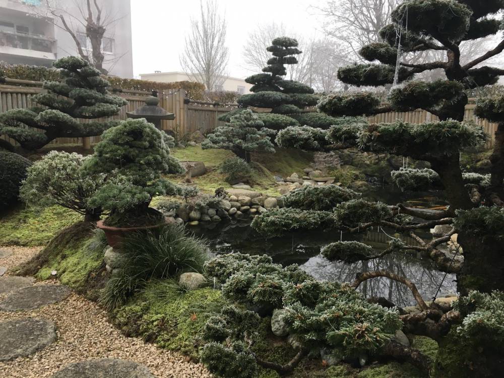 jardin-japonais-creation-2880w
